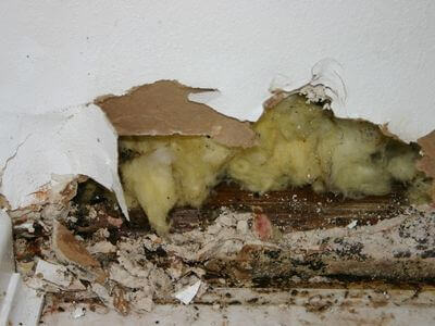 About water damage restoration service - storm damage restoration experts in Lawrenceville