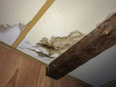 Professional storm damage restoration services in Lawrenceville - water damage restoration service